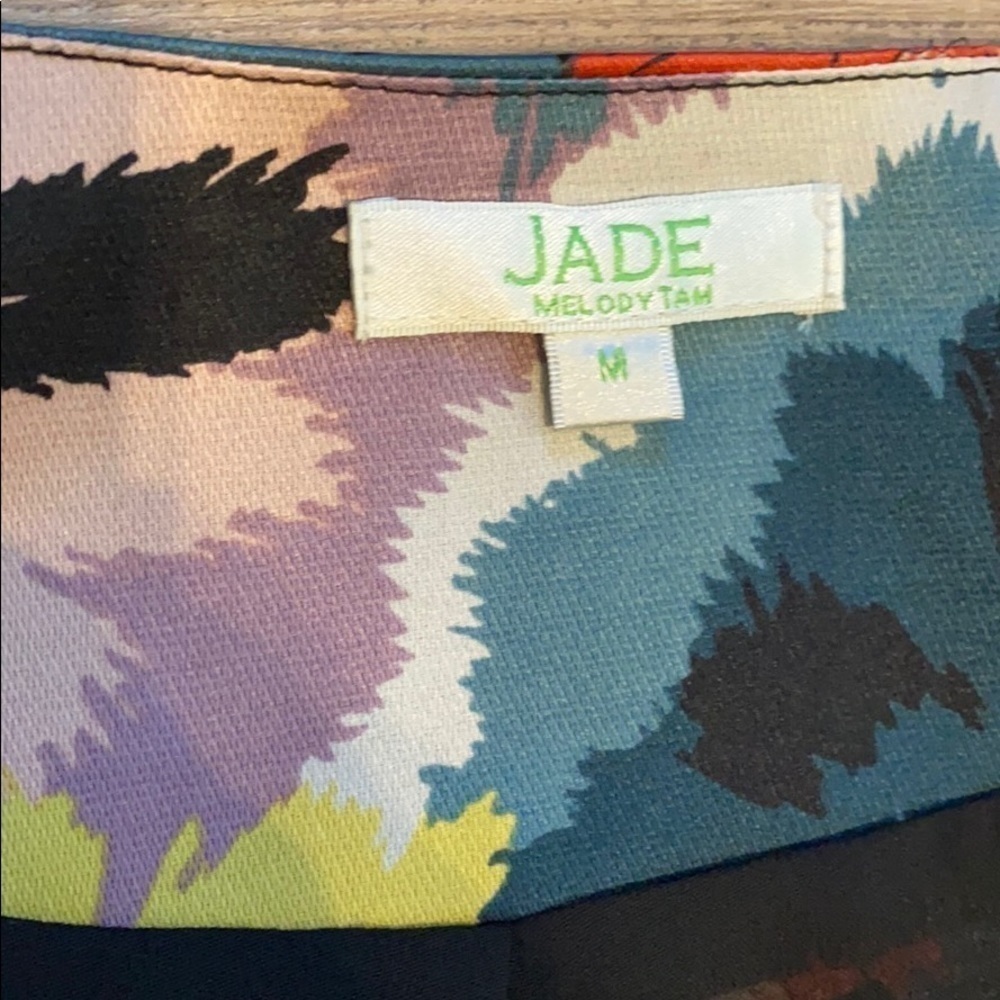 Jade Colorful Burst Ruffled Flutter Cap Sleeve A-… - image 3